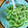 クックCF8G2J☆'s cooksnap of when they made といもがらのサラダ（酢の物）.