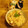 マリーゆう子's cooksnap of when they made タコとあさりの炊き込みご飯.