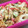 nontan0201's cooksnap of when they made 簡単☆甘辛ちくわの玉子丼.