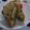 のあぷ～'s cooksnap of when they made HBレーズンパン★水種使用で早焼きコース.