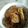 Jyohana's cooksnap of when they made ｳｲﾝﾅｰとﾊﾟﾌﾟﾘｶのｶﾚｰ炒め.