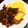 ★Ayan0311★'s cooksnap of when they made 簡単！デミグラスソースのオムライス.