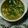 ma___111's cooksnap of when they made 長ねぎたっぷり炒めのお味噌汁.