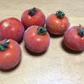 楓✿椛's cooksnap of when they made *冷凍*ＤＥトマト♪.