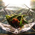 ジョングレ's cooksnap of when they made 簡単いんげんの胡麻和え☆.