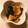 mitsuyou's cooksnap of when they made 筍水煮の煮付け.