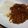 sunny147cm's cooksnap of when they made 簡単！ひき肉カレー☆.