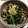 頑張るmama．'s cooksnap of when they made 椎茸入りღほうれん草と柚子のおひたし.