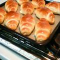 ヨーマ's cooksnap of when they made 我が家の★バターロール(もどき).