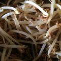bun11nao07's cooksnap of when they made 安い！楽チン！豚ミンチともやしの炒め物♪.