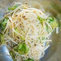 のぶよっしー's cooksnap of when they made ポン酢で簡単♪中華風春雨サラダ.