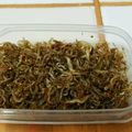 ちーぃさん's cooksnap of when they made ぱくぱく　じゃこの甘辛煮.
