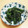 ピーナッツ子♪'s cooksnap of when they made いんげんの黒ごま和え.
