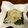 ☆くるみ☆くるみ☆'s cooksnap of when they made 切り方がコツシャキシャキ大根サラダ.