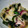 wakakoya's cooksnap of when they made 簡単！ハワイのタコポキ風(2人分レシピ).