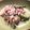 かりん☆'s cooksnap of when they made ❀苦くない！簡単ゴーヤとツナのサラダ❀.