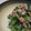 morvan's cooksnap of when they made ほうれん草のマヨネーズ和え.