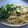 Edythe's cooksnap of when they made 簡単♪ほうれん草の和風スープパスタ.
