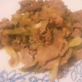 kasumon☺'s cooksnap of when they made 豚とネギの炒め物♡パーロー（爆肉）.