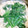 〜みみ〜's cooksnap of when they made ほうれん草と油揚げの味噌汁.
