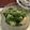 おおりんりん♪'s cooksnap of when they made 梨と水菜のサラダ＊胡麻ドレ.