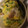 お気楽な嫁。's cooksnap of when they made 玉ねぎを玉子とじ。 ちーずのせ、丼.