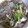 めるD's cooksnap of when they made 簡単！たっぷりきのこと　白滝の中華スープ.