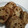 キッチンtomom's cooksnap of when they made ▶ 我が家のれんこんはさみ揚げ.