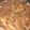 柳生十兵衛茜's cooksnap of when they made じゃがいものそぼろあんかけ.