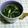 quinne's cooksnap of when they made モロヘイヤとえのきの中華スープ♪.