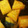 クックEK8HDB☆'s cooksnap of when they made 我が家のかぼちゃの煮物☆.