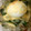 。ゆい。's cooksnap of when they made ほうれん草のｺｺｯﾄ半熟玉子ﾁｰｽﾞ焼き.
