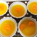 ＊＊yococo＊＊'s cooksnap of when they made オレンジジュースで作る簡単オレンジゼリー.