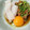 demy427's cooksnap of when they made ごはんのお供に☆いか納豆.