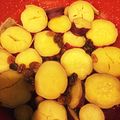 いつも食べてたい's cooksnap of when they made ほっこり、レーズンとさつまいもの煮物.