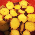 いつも食べてたい's cooksnap of when they made ほっこり、レーズンとさつまいもの煮物.