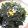 クックTW1J61☆'s cooksnap of when they made 簡単！うまい！長芋納豆.