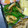 コスカ's cooksnap of when they made ピーマンとちくわの粉チーズ炒め.