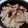 ぴよぴよねむー's cooksnap of when they made 秋の味覚★松茸ご飯.