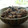 タモちゃん's cooksnap of when they made 黒豆と生姜の炊き込みご飯.