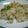 papalook's cooksnap of when they made おいしい♪じゃこごはん.