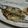 幸バナナ's cooksnap of when they made 元魚屋が教える！美味しい秋刀魚の塩焼き.