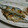 幸バナナ's cooksnap of when they made 元魚屋が教える！美味しい秋刀魚の塩焼き.