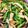 まちゃこのムスメ's cooksnap of when they made モロッコいんげんとハムの中華風サラダ.