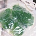 麻's cooksnap of when they made 大葉の保存法.