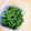 kadak's cooksnap of when they made 簡単☆ほうれん草の胡麻和え.