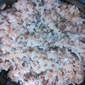 明日歩's cooksnap of when they made 黄金比☆簡単まぜご飯.
