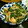 もものはちみつ's cooksnap of when they made もやしの鶏皮炒め.