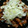 yomahiyu's cooksnap of when they made 超簡単！節約！焼豚丼.