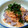 shikkachan's cooksnap of when they made 鮭とゴマの混ぜごはん.